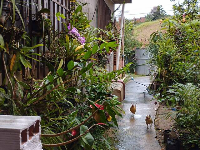 Casa para Venda em Santana de Parnaíba - 5