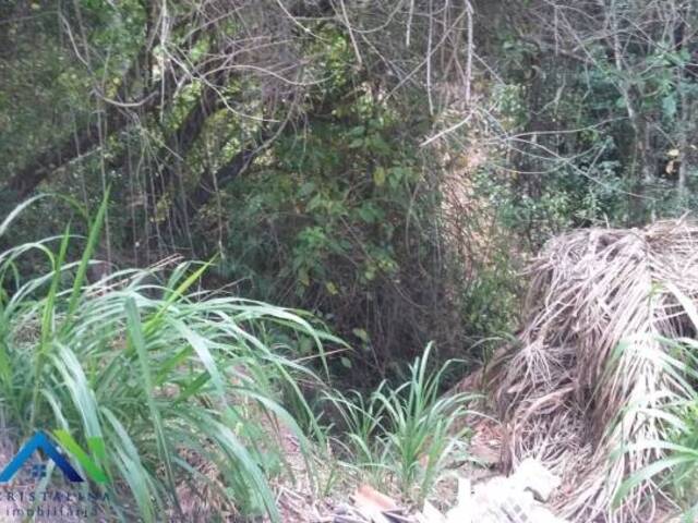 #140 - Terreno para Venda em Campo Limpo Paulista - SP - 3