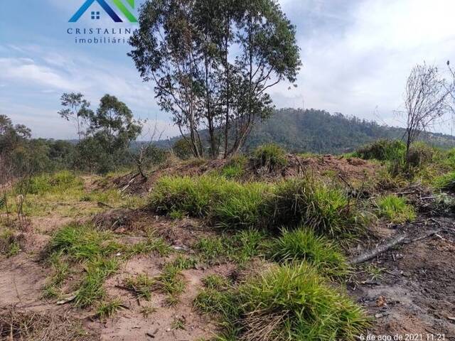 #135 - Terreno para Venda em Campo Limpo Paulista - SP - 3