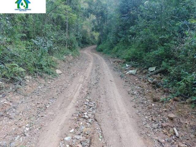 Terreno para Venda em Pirapora do Bom Jesus - 4